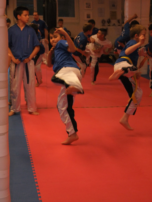 Ein Abend in Rocco Ciprianos Dojo