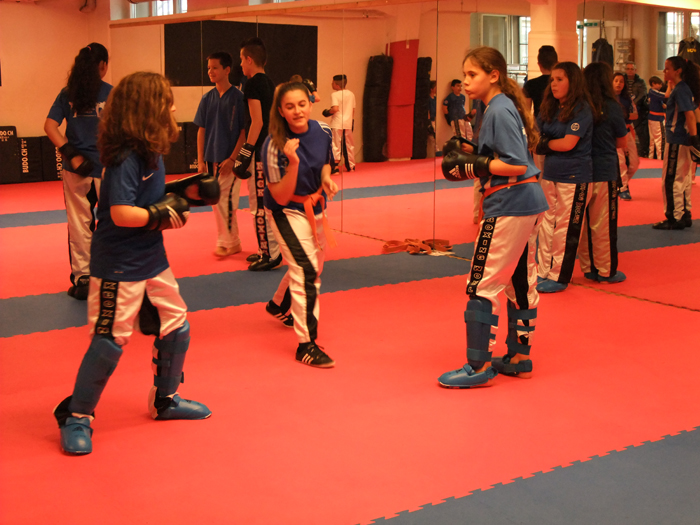 Ein Abend in Rocco Ciprianos Dojo