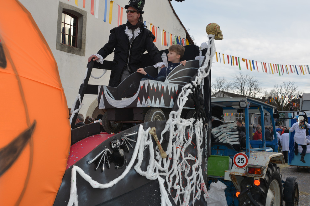 Fasnachtsumzug Bremgarten 2017