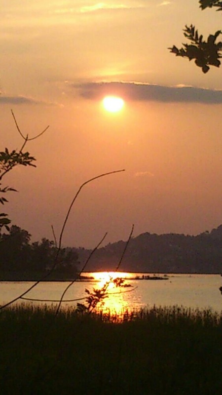 Leserbilder Sommer 2013