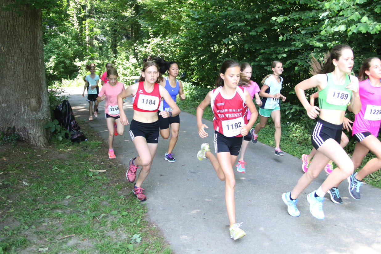 Pfingstlauf 2017