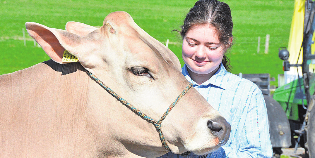 Den Noch-Besitzer fest im Blick – Züchter Michael Strebel präsentiert seine Kuh Guna. Bilder: Annemarie Keusch