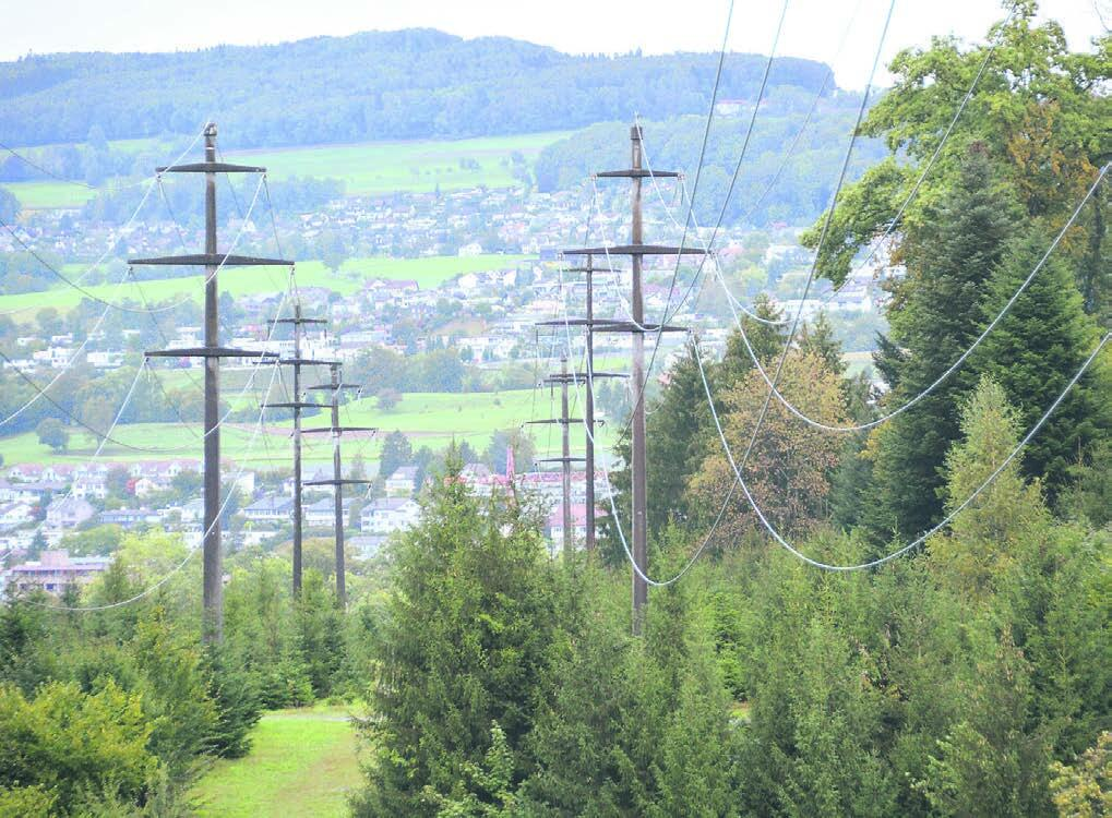 Bis im Frühling verschwinden die rechten Leitungsmasten aus dem Zufiker Emaus-Wald. Bild: Roger Wetli
