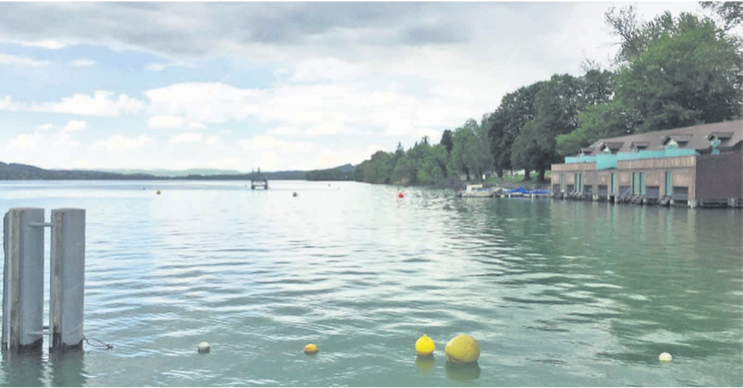 Es ist ruhiger auf dem Hallwilersee, sagt der Sportfischerverein. Bild: Archiv