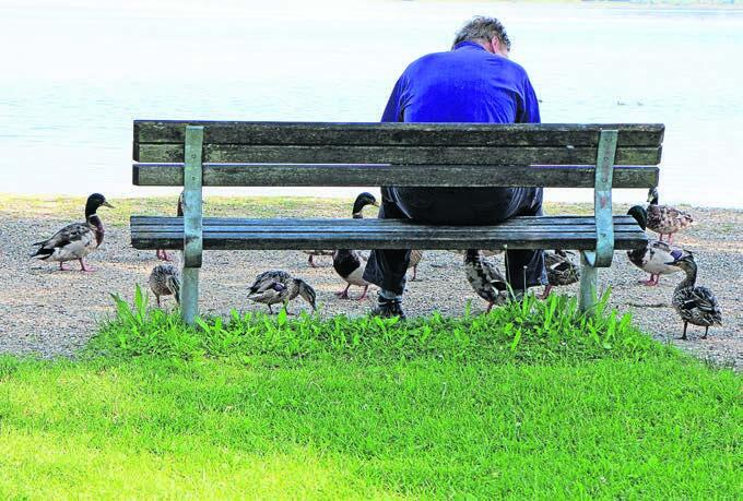 Peter Wyss ist Ranger am Hallwilersee. Bild: Archiv