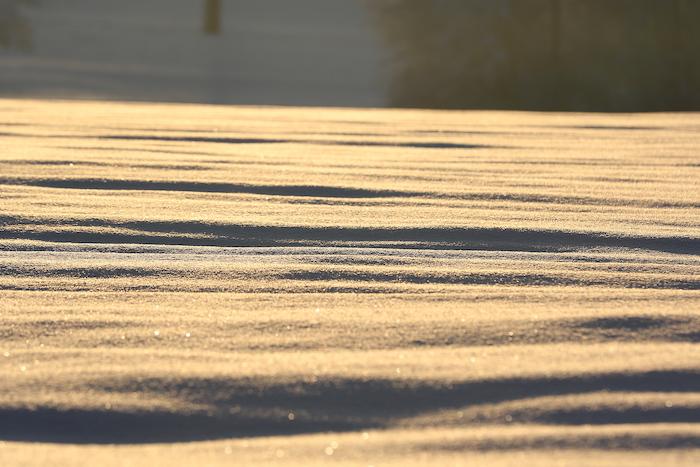 Freiamt versinkt im Schnee