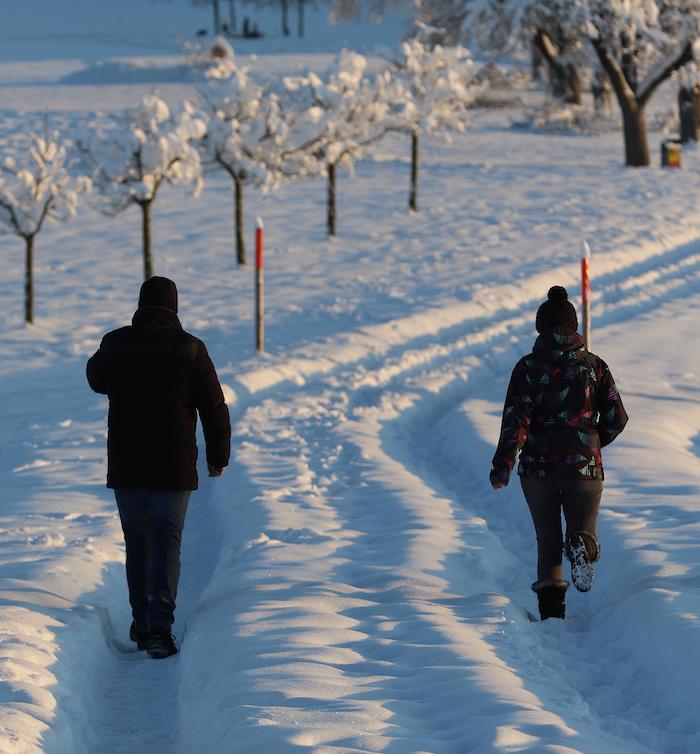 Freiamt versinkt im Schnee