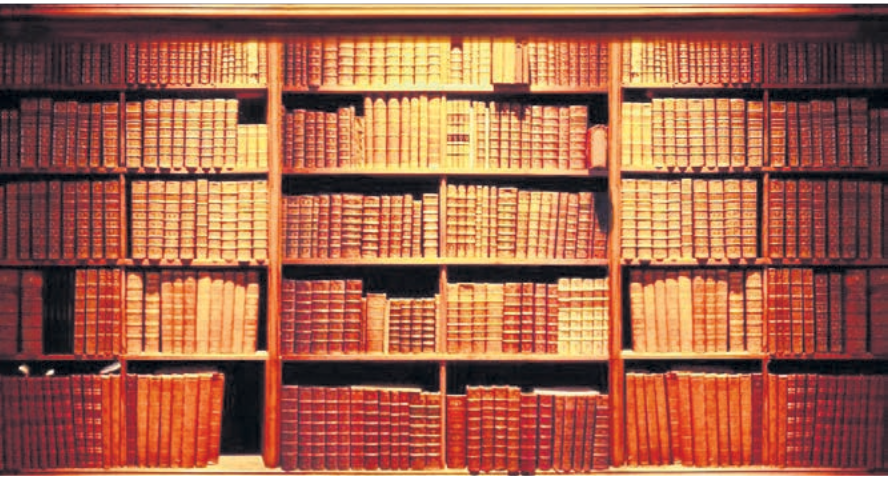 Viel Literatur, keine Platzprobleme. Eine digitale Bibliothek macht es möglich. Bild: wuestenfux / pixelio.de
