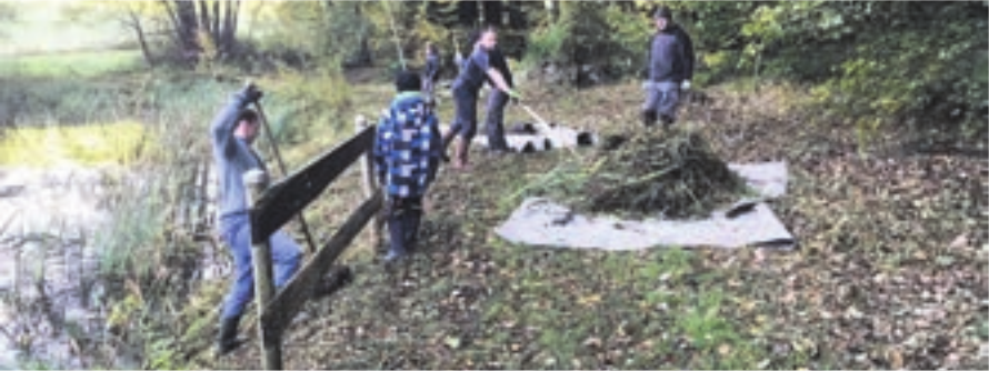 Voller Einsatz bei den freiwilligen Helfern am Pflegeeinsatz am Birchweiher. Bild: gk