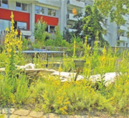 Auch in viel benutzten Gärten gibt es Platz für Natur. Bild: Reinhard Witt